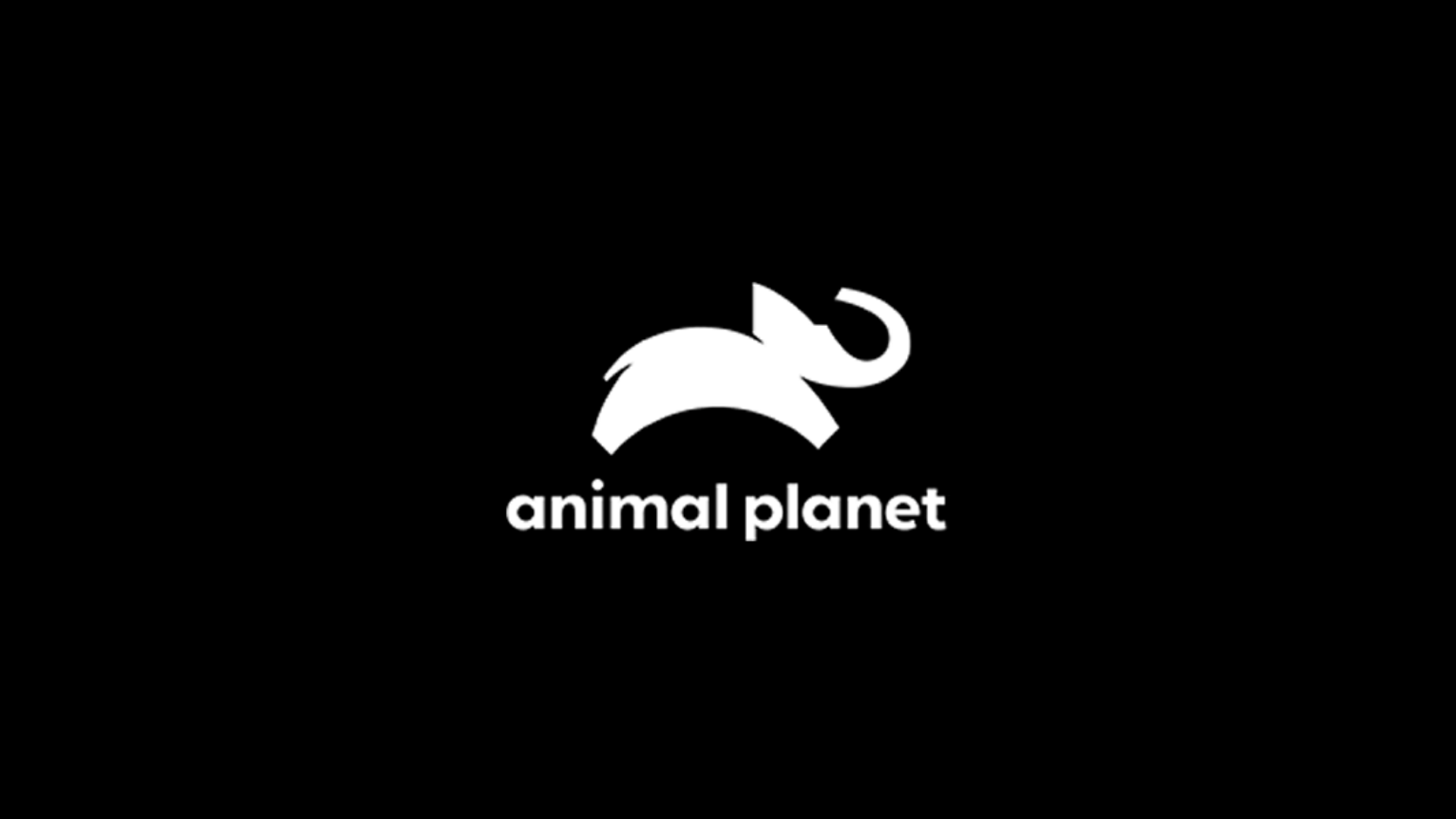 Animal Planet ao vivo,Animal Planet online,assistir Animal Planet,assistir Animal Planet ao vivo,assistir Animal Planet online,Animal Planet gratis,assistir Animal Planet gratis,ao vivo online,ao vivo gratis,ver Animal Planet,ver Animal Planet ao vivo,ver Animal Planet online,24 horas,24h,multicanais,piratetv,futtemax.org