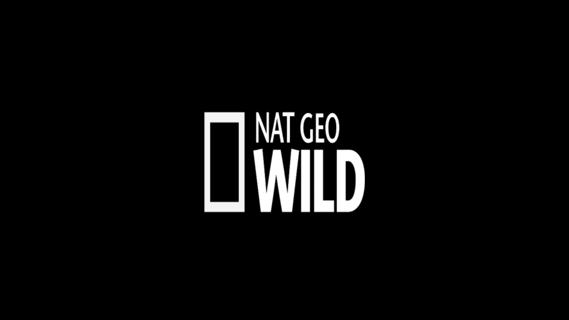 NatGeo Wild ao vivo,NatGeo Wild online,assistir NatGeo Wild,assistir NatGeo Wild ao vivo,assistir NatGeo Wild online,NatGeo Wild gratis,assistir NatGeo Wild gratis,ao vivo online,ao vivo gratis,ver NatGeo Wild,ver NatGeo Wild ao vivo,ver NatGeo Wild online,24 horas,24h,multicanais,piratetv,futtemax.org